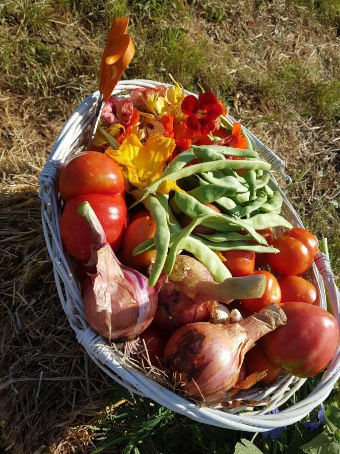 فندق Quinta Da Choupana تومار المظهر الخارجي الصورة